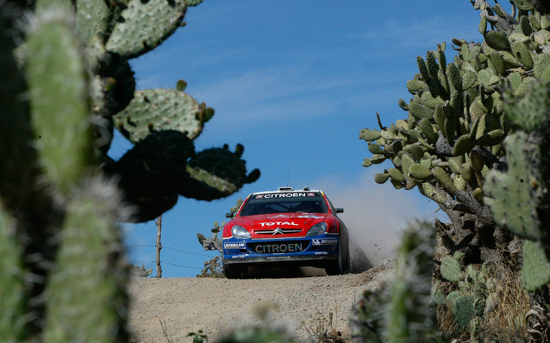 Illustration for article titled Rally Flashback: 2005 Rally Mexico